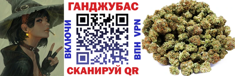 Канабис конопля Дубовка